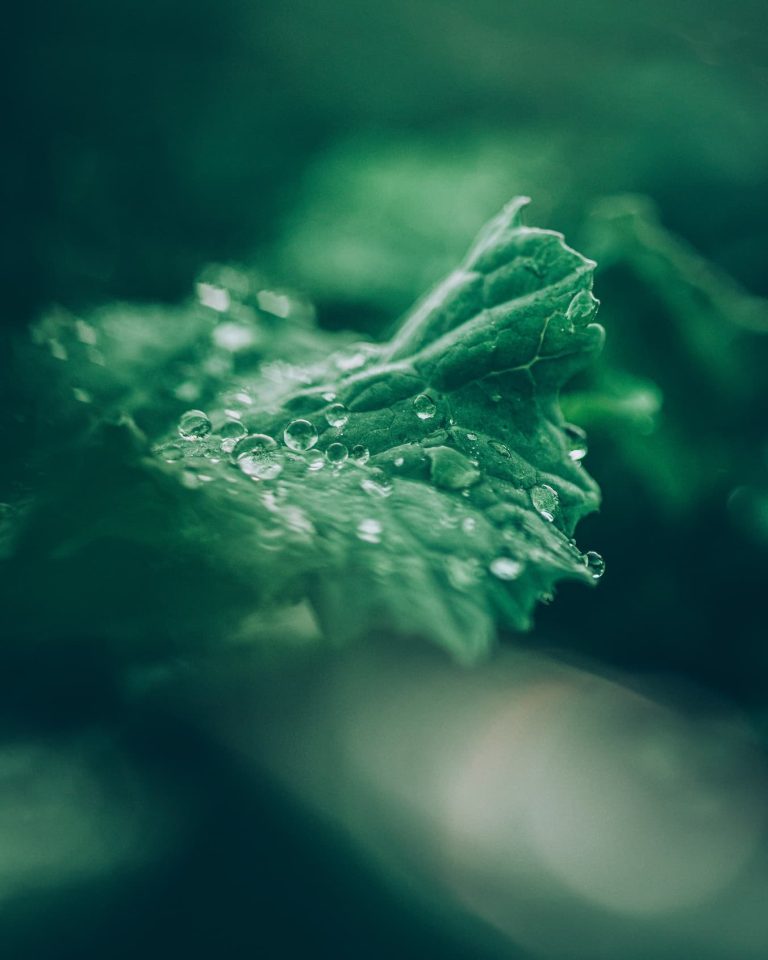 The Nordic Oasis for Data Center Investments